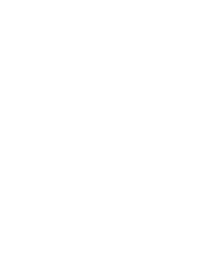 Logo Profinit